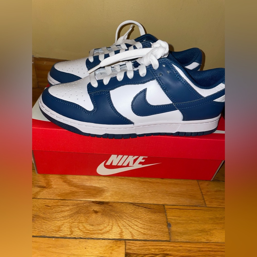 Nike Dunk Low Retro Shoes (DD1391-400) 'Valerian Blue'